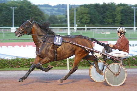 Actualités Hippiques